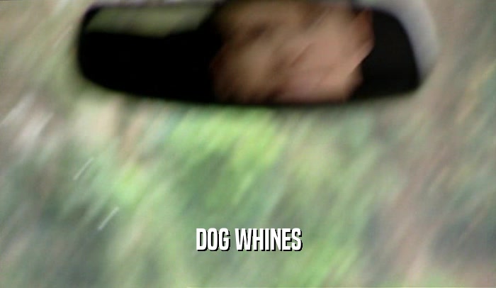 DOG WHINES
  