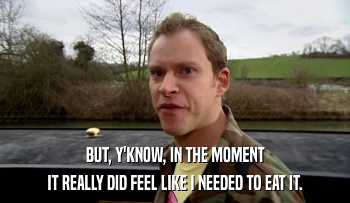 BUT, Y'KNOW, IN THE MOMENT IT REALLY DID FEEL LIKE I NEEDED TO EAT IT. 