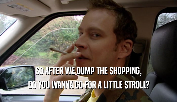 SO AFTER WE DUMP THE SHOPPING, DO YOU WANNA GO FOR A LITTLE STROLL? 