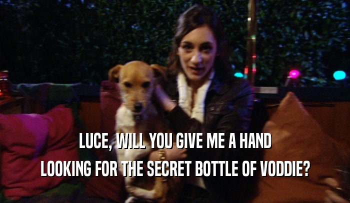 LUCE, WILL YOU GIVE ME A HAND LOOKING FOR THE SECRET BOTTLE OF VODDIE? 