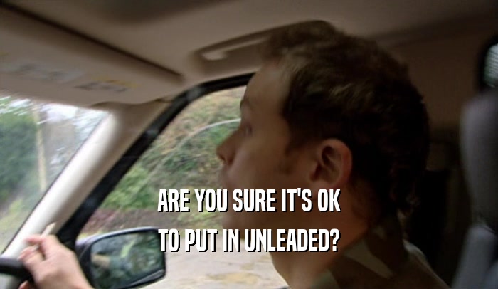 ARE YOU SURE IT'S OK TO PUT IN UNLEADED? 