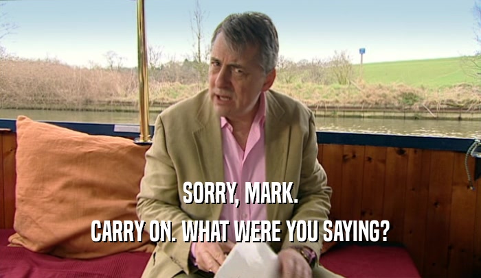 SORRY, MARK. CARRY ON. WHAT WERE YOU SAYING? 