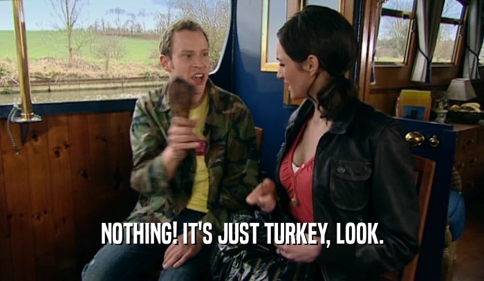 NOTHING! IT'S JUST TURKEY, LOOK.
  