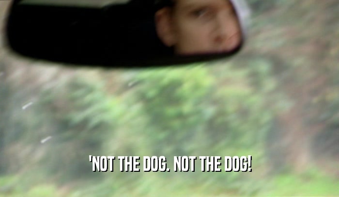'NOT THE DOG. NOT THE DOG!
  