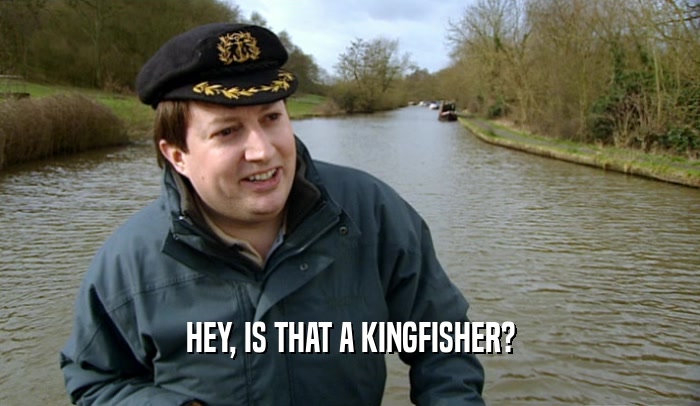 HEY, IS THAT A KINGFISHER?  