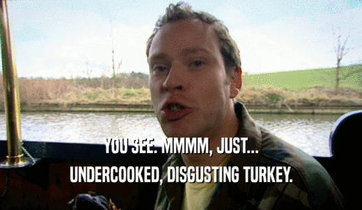 YOU SEE. MMMM, JUST... UNDERCOOKED, DISGUSTING TURKEY. 