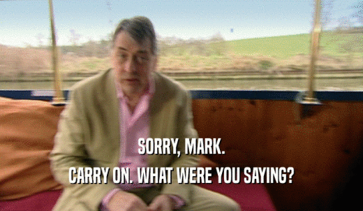 SORRY, MARK. CARRY ON. WHAT WERE YOU SAYING? 