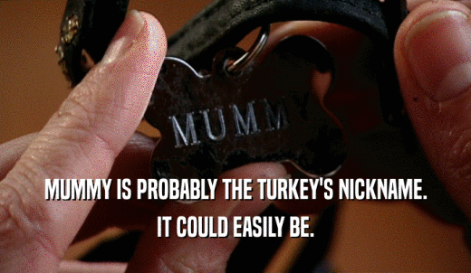 MUMMY IS PROBABLY THE TURKEY'S NICKNAME. IT COULD EASILY BE. 