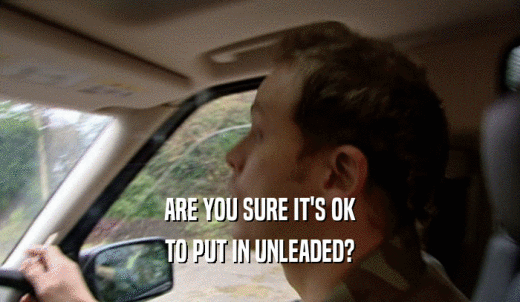ARE YOU SURE IT'S OK TO PUT IN UNLEADED? 