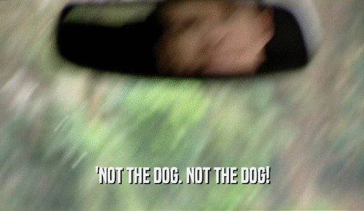 'NOT THE DOG. NOT THE DOG!  