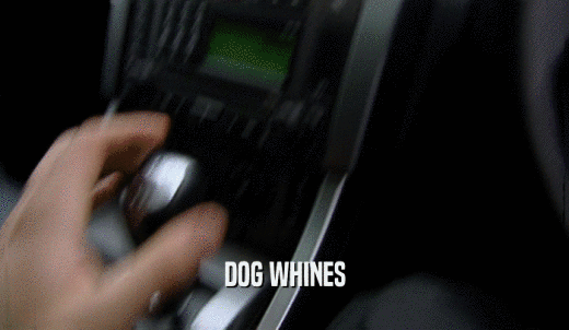 DOG WHINES  