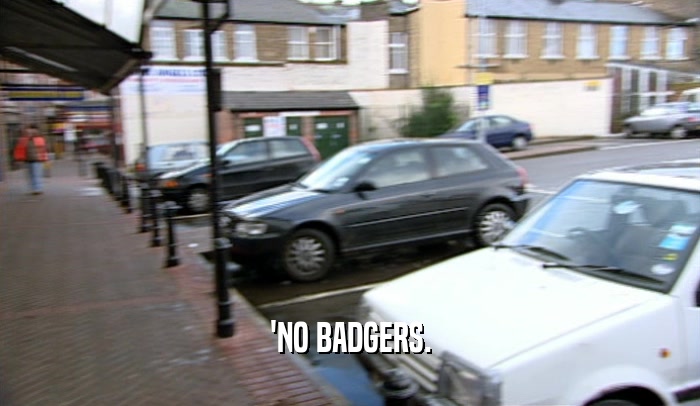 'NO BADGERS.  