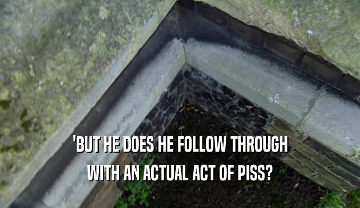 'BUT HE DOES HE FOLLOW THROUGH WITH AN ACTUAL ACT OF PISS? 
