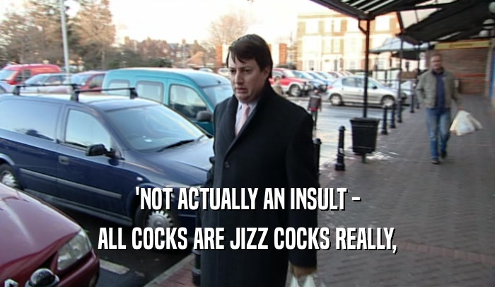 'NOT ACTUALLY AN INSULT - ALL COCKS ARE JIZZ COCKS REALLY, 