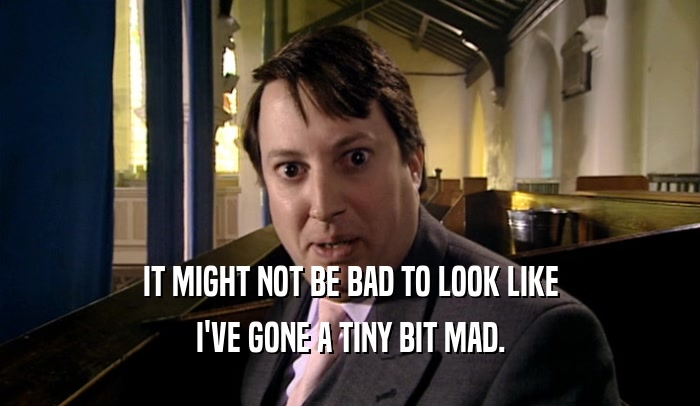 IT MIGHT NOT BE BAD TO LOOK LIKE I'VE GONE A TINY BIT MAD. 