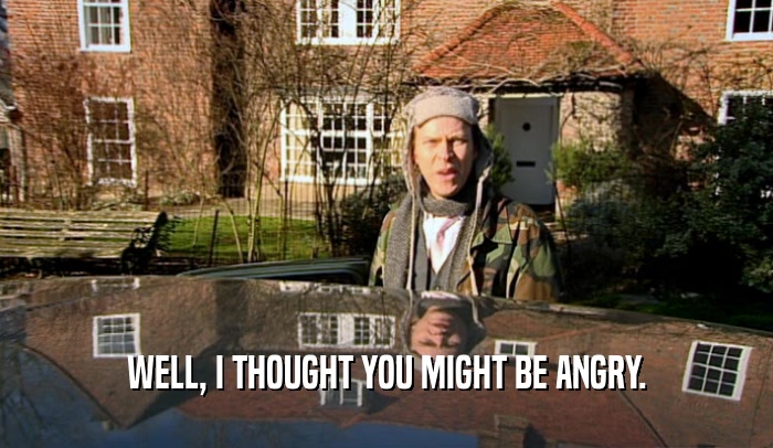 WELL, I THOUGHT YOU MIGHT BE ANGRY.  