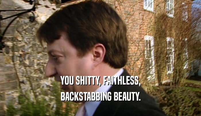 YOU SHITTY, FAITHLESS, BACKSTABBING BEAUTY. 