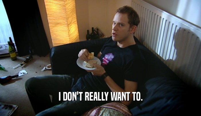 I DON'T REALLY WANT TO.  