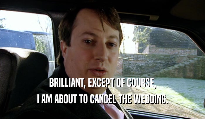 BRILLIANT, EXCEPT OF COURSE, I AM ABOUT TO CANCEL THE WEDDING. 