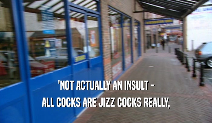 'NOT ACTUALLY AN INSULT - ALL COCKS ARE JIZZ COCKS REALLY, 