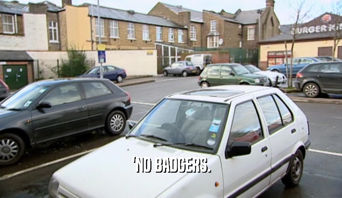'NO BADGERS.  