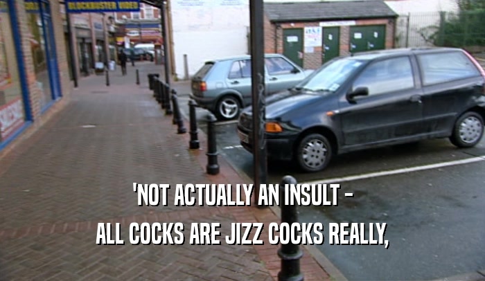 'NOT ACTUALLY AN INSULT - ALL COCKS ARE JIZZ COCKS REALLY, 