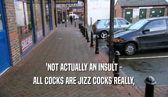 'NOT ACTUALLY AN INSULT - ALL COCKS ARE JIZZ COCKS REALLY, 