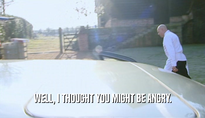 WELL, I THOUGHT YOU MIGHT BE ANGRY.  