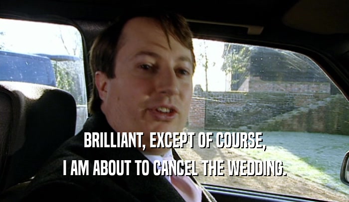 BRILLIANT, EXCEPT OF COURSE, I AM ABOUT TO CANCEL THE WEDDING. 