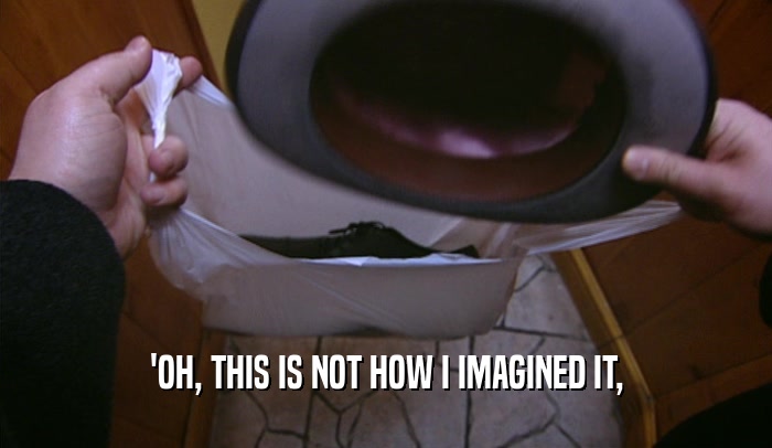 'OH, THIS IS NOT HOW I IMAGINED IT,  