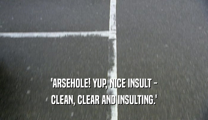 'ARSEHOLE! YUP, NICE INSULT -
 CLEAN, CLEAR AND INSULTING.'
 
