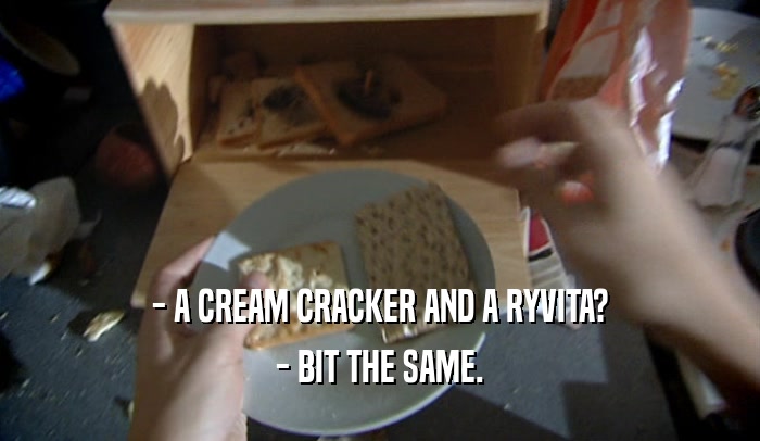 - A CREAM CRACKER AND A RYVITA? - BIT THE SAME. 