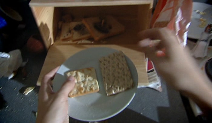 - A CREAM CRACKER AND A RYVITA? - BIT THE SAME. 