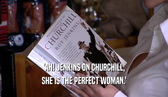 'AH! JENKINS ON CHURCHILL, SHE IS THE PERFECT WOMAN.' 