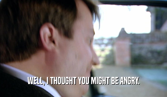 WELL, I THOUGHT YOU MIGHT BE ANGRY.  