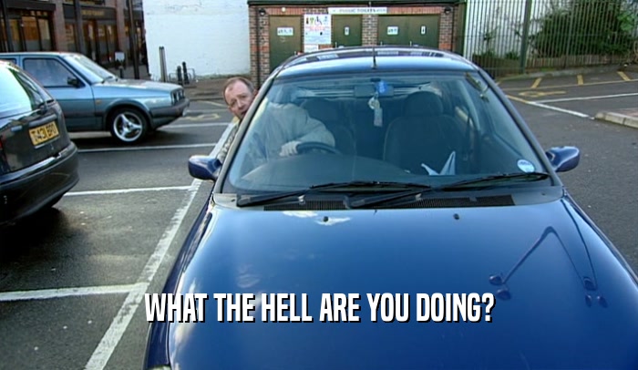 WHAT THE HELL ARE YOU DOING?  