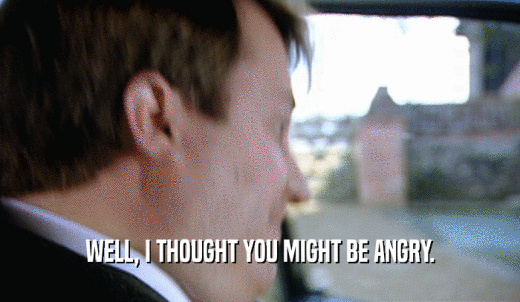 WELL, I THOUGHT YOU MIGHT BE ANGRY.  