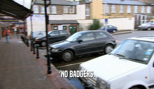 'NO BADGERS.  