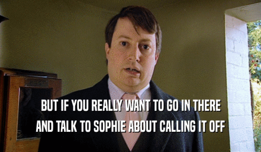 BUT IF YOU REALLY WANT TO GO IN THERE AND TALK TO SOPHIE ABOUT CALLING IT OFF 