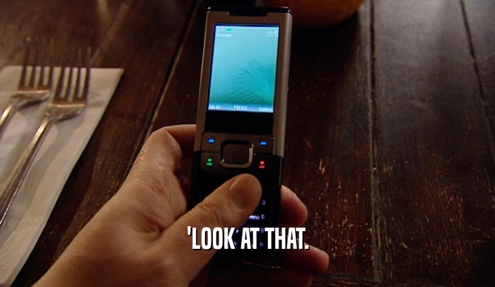 'LOOK AT THAT.  