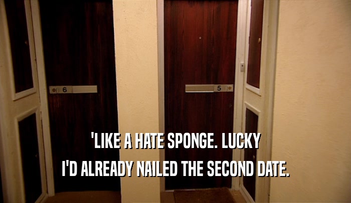 'LIKE A HATE SPONGE. LUCKY I'D ALREADY NAILED THE SECOND DATE. 