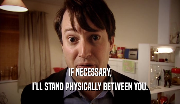 IF NECESSARY, I'LL STAND PHYSICALLY BETWEEN YOU. 