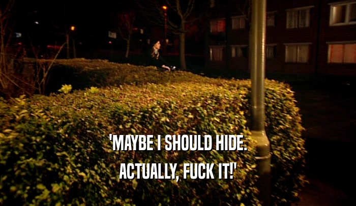 'MAYBE I SHOULD HIDE. ACTUALLY, FUCK IT!' 