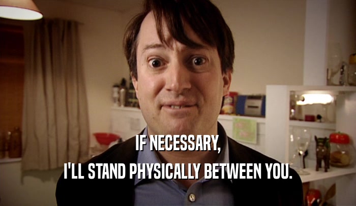 IF NECESSARY, I'LL STAND PHYSICALLY BETWEEN YOU. 