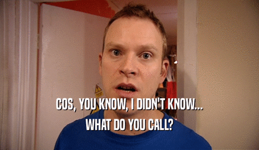 COS, YOU KNOW, I DIDN'T KNOW... WHAT DO YOU CALL? 