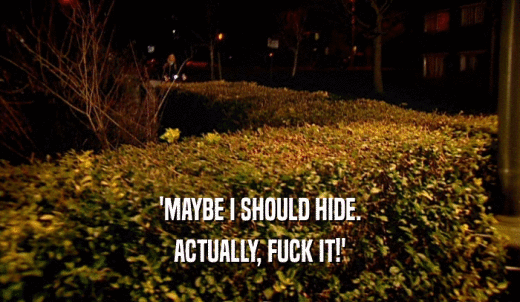 'MAYBE I SHOULD HIDE. ACTUALLY, FUCK IT!' 
