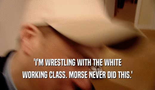 'I'M WRESTLING WITH THE WHITE WORKING CLASS. MORSE NEVER DID THIS.' 