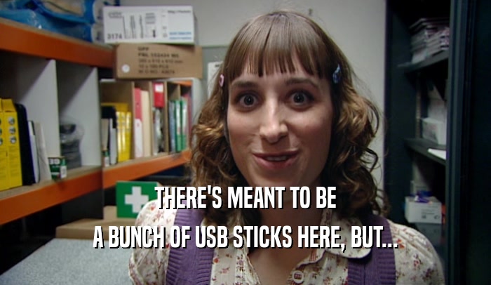 THERE'S MEANT TO BE A BUNCH OF USB STICKS HERE, BUT... 