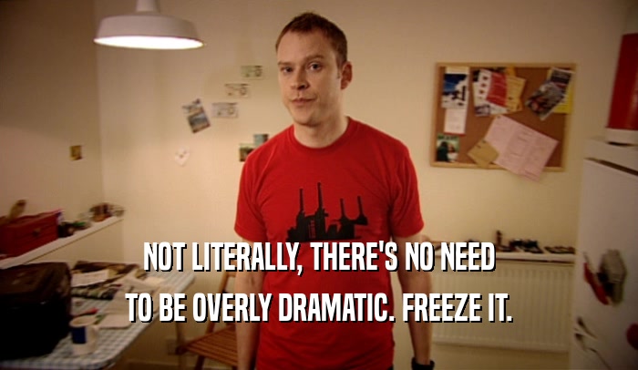NOT LITERALLY, THERE'S NO NEED TO BE OVERLY DRAMATIC. FREEZE IT. 
