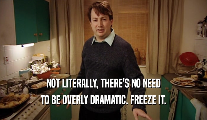 NOT LITERALLY, THERE'S NO NEED TO BE OVERLY DRAMATIC. FREEZE IT. 